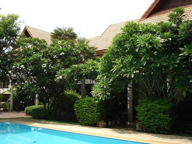 NAK 322 บ้านเช่าย่านเอกมัย รูปที่ 3
