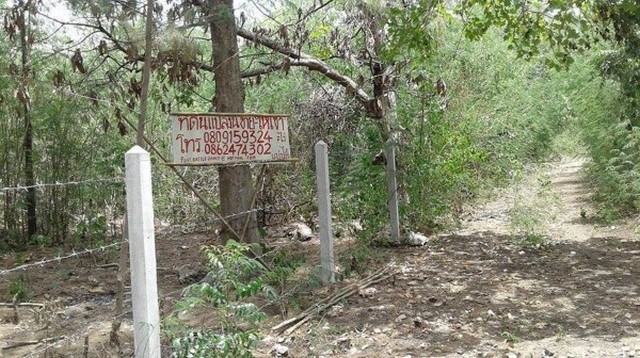 NNP7 ที่ดิน 7ไร่ เช่า/ขาย บริเวณปากช่อง รูปที่ 2