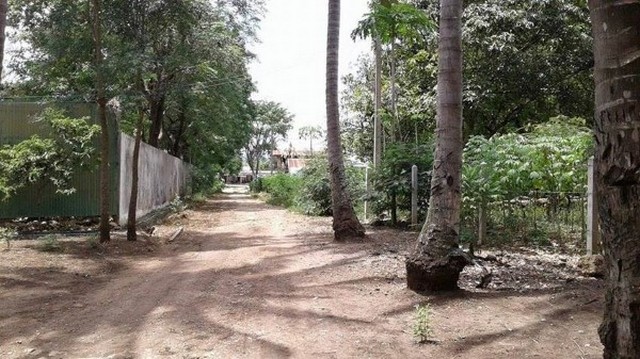 NNP7 ที่ดิน 7ไร่ เช่า/ขาย บริเวณปากช่อง รูปที่ 4