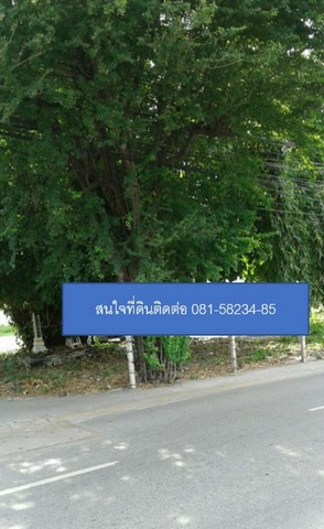 NTS 240 ขายที่ดิน สุขุมวิท  ตรว.141 รูปที่ 0