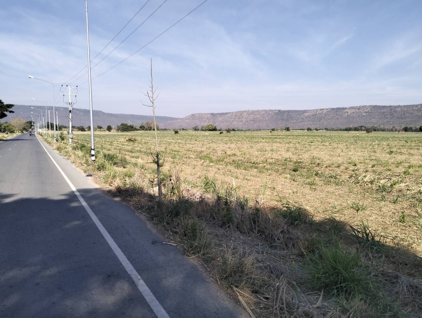       ขายที่ดิน 525 ไร่  ต.ลาดบัวขาว อ.สีคิ้ว จ.นครราชสีมา รูปที่ 1