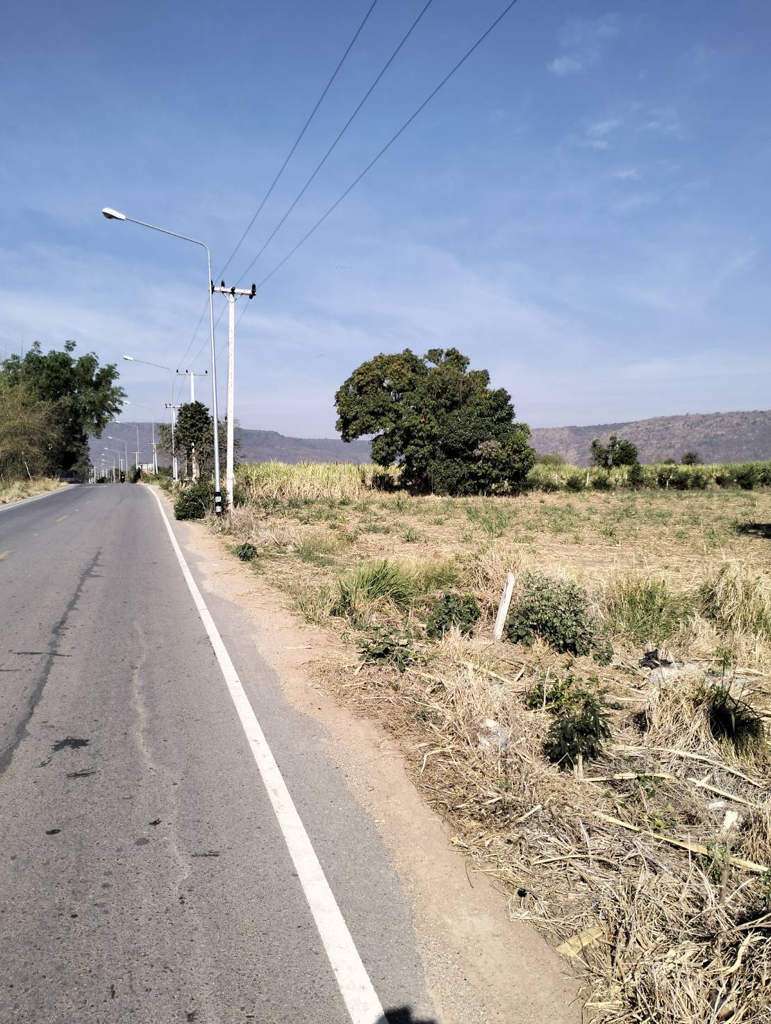       ขายที่ดิน 525 ไร่  ต.ลาดบัวขาว อ.สีคิ้ว จ.นครราชสีมา รูปที่ 2