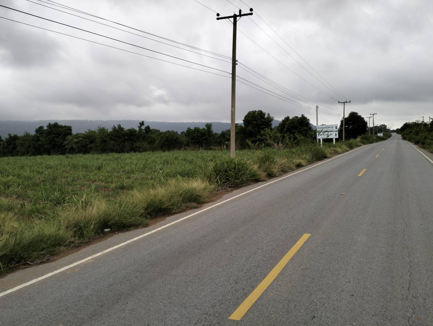       ขายที่ดิน 525 ไร่  ต.ลาดบัวขาว อ.สีคิ้ว จ.นครราชสีมา รูปที่ 5