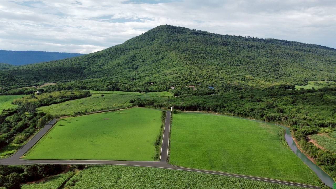 ขายที่ดิน 53 ไร่ ต. วังไทร อ.ปากช่อง จ.นครราชสีมา รูปที่ 1