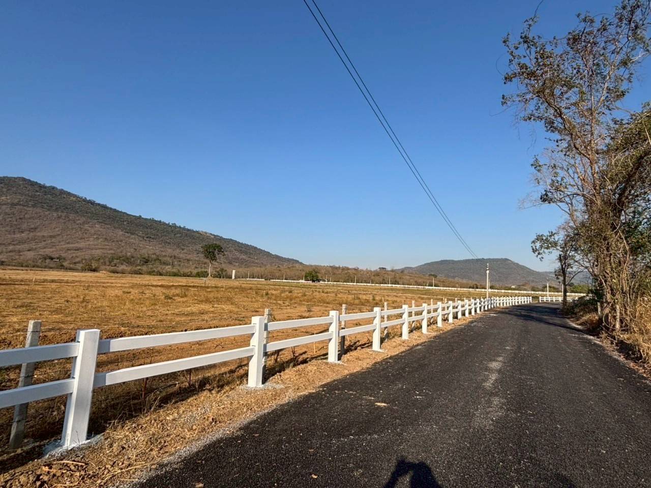 ขายที่ดิน 53 ไร่ ต. วังไทร อ.ปากช่อง จ.นครราชสีมา รูปที่ 2