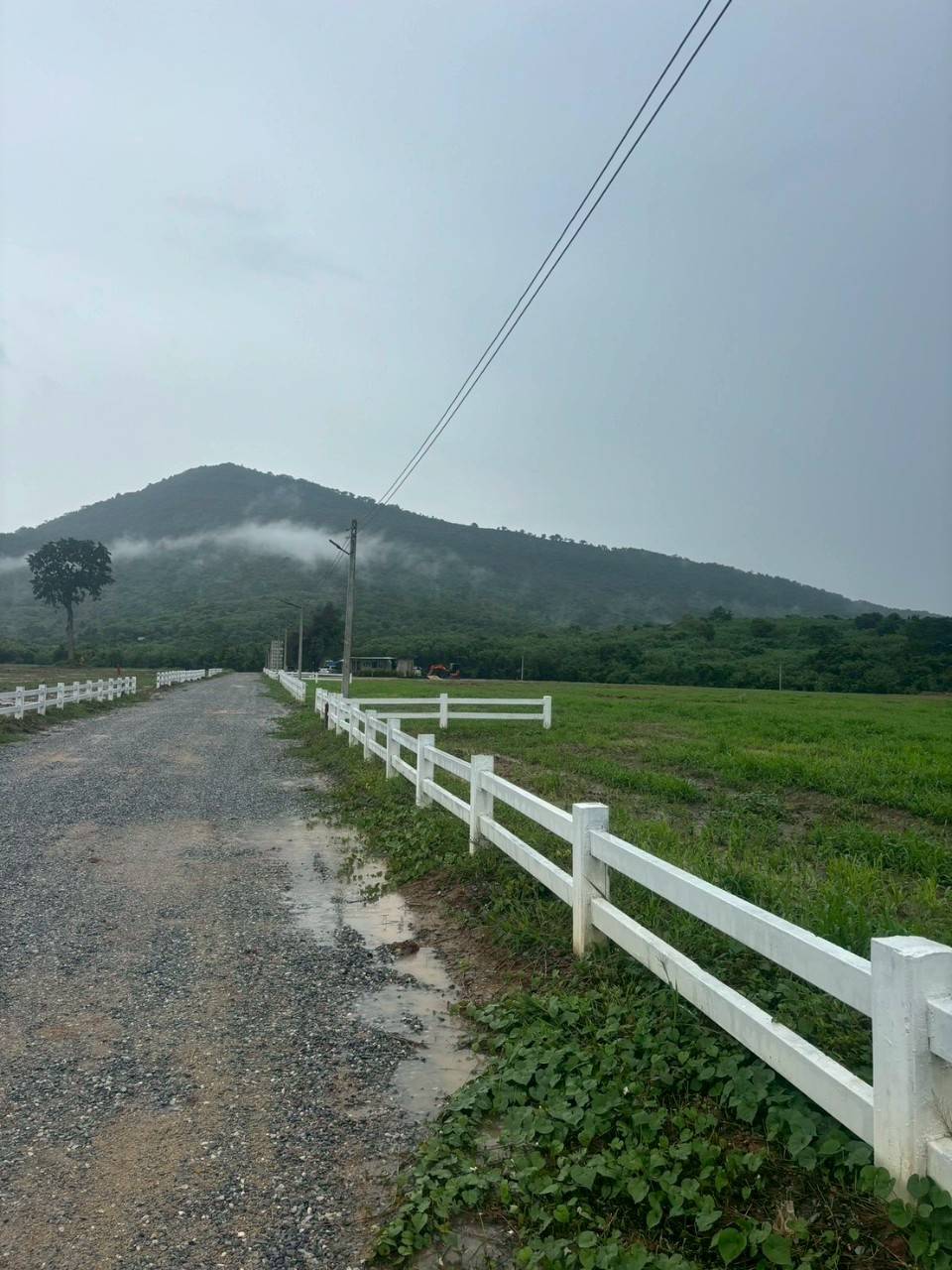 ขายที่ดิน 53 ไร่ ต. วังไทร อ.ปากช่อง จ.นครราชสีมา รูปที่ 4