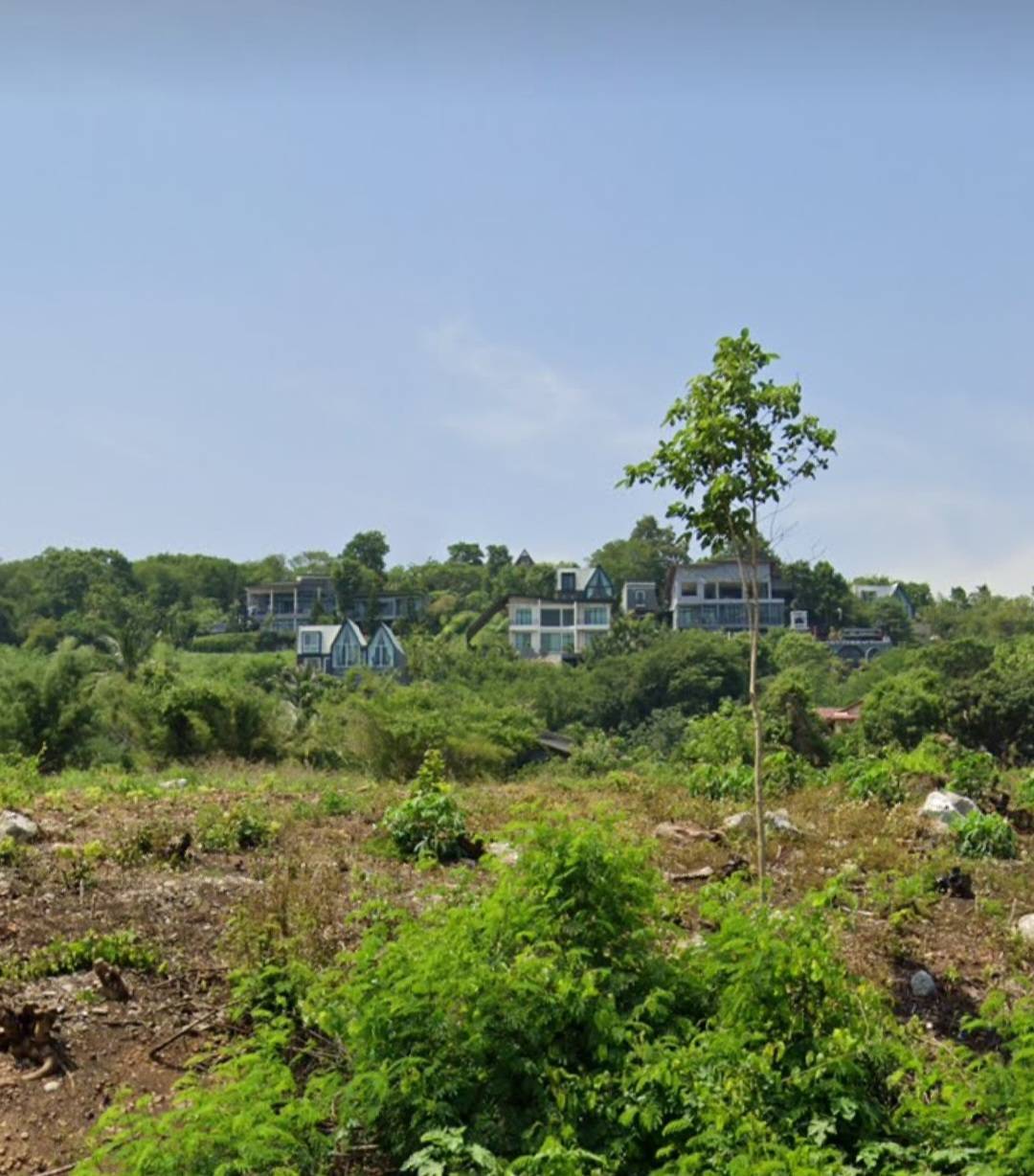    ขายที่ดิน 30 ไร่ คลองม่วง ปากช่อง นครราชสีมา รูปที่ 1