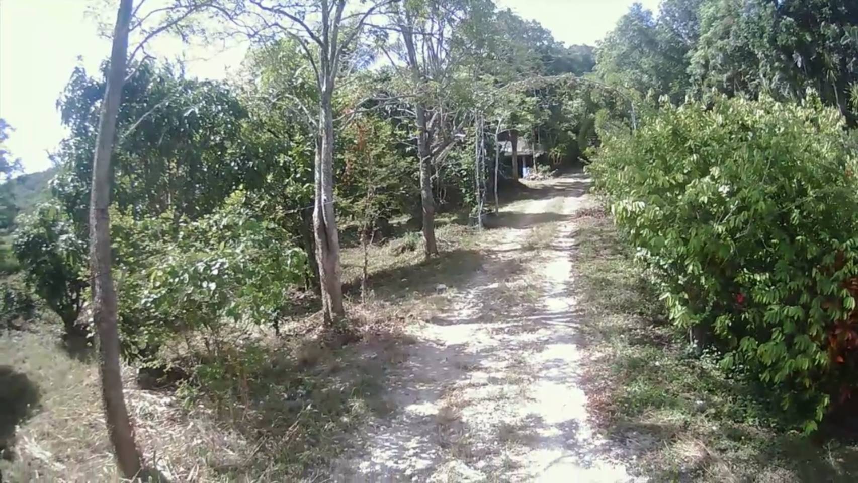   ขายที่ดิน 14 ไร่ หนองสาหร่าย ปากช่อง นครราชสีมา รูปที่ 2