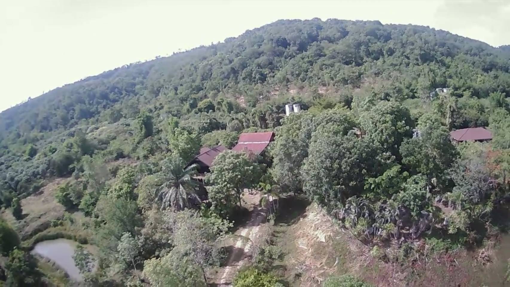   ขายที่ดิน 14 ไร่ หนองสาหร่าย ปากช่อง นครราชสีมา รูปที่ 3