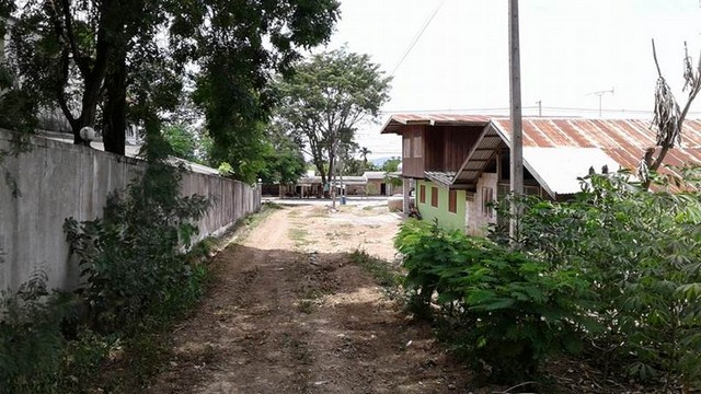 ที่ดิน 7ไร่ เช่า/ขาย ตำบล หนองสาหร่าย รูปที่ 4