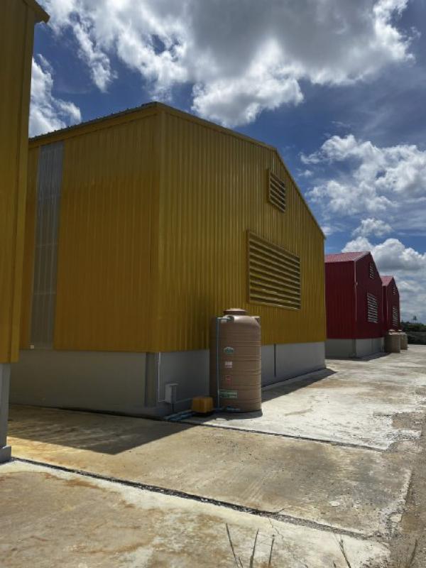 โกดังให้เช่า 300 ตรม. คลองข่อย ปากเกร็ด นนทบุรี รูปที่ 6