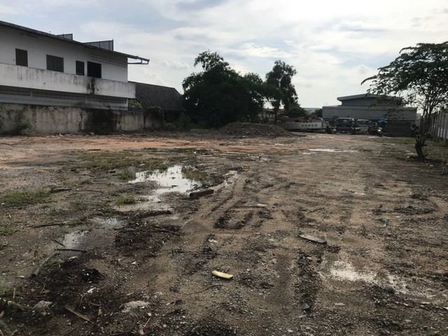   ขายที่ดิน 2 ไร่ ไอยรา 18 ถมแล้ว  อ.คลองหลวง จ.ปทุมธานี 12.5 ล้าน รูปที่ 3