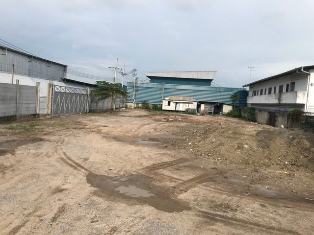    ขายที่ดิน 2 ไร่ ไอยรา 18 ถมแล้ว  อ.คลองหลวง จ.ปทุมธานี 12.5 ล้าน รูปที่ 10