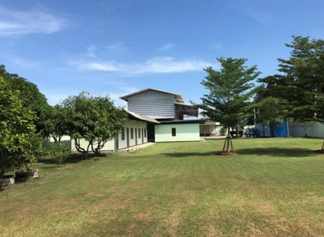ขายโรงงาน พร้อมห้องพักคนงาน เนื้อที่ 600 ตรว. ซ.บงกช  รูปที่ 3