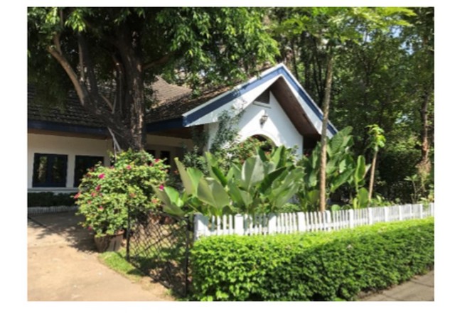 บ้านเดียวให้เช่าย่านสุขุมวิท พร้อมสระว่ายน้ำส่วนตัว รูปที่ 6