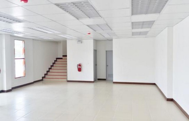โรงงานให้เช่า ในนิคมอุตสาหกรรมบางพลี รูปที่ 4