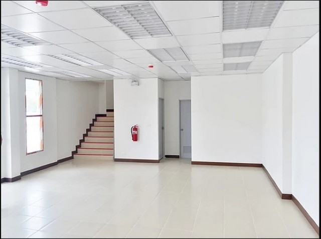 โรงงานให้เช่า ในนิคมอุตสาหกรรมบางพลี รูปที่ 8