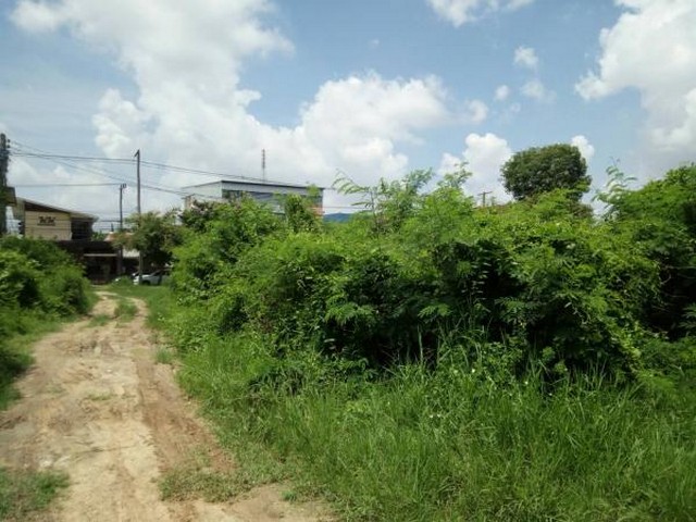   Land for sale 784 rai Roi Et Province  images 0