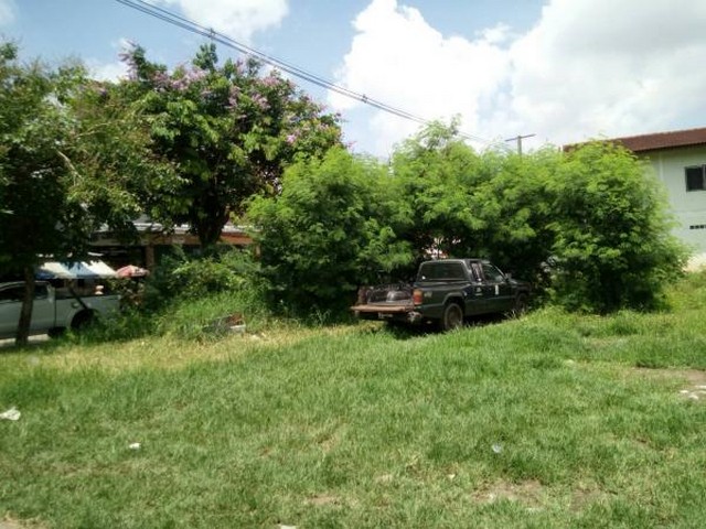   Land for sale 784 rai Roi Et Province  images 2