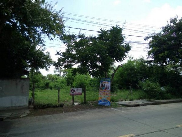   Land for sale 784 rai Roi Et Province  images 4