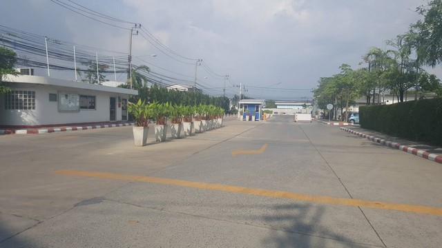   Factory for rent near Suvarnabhumi Airport. images 1