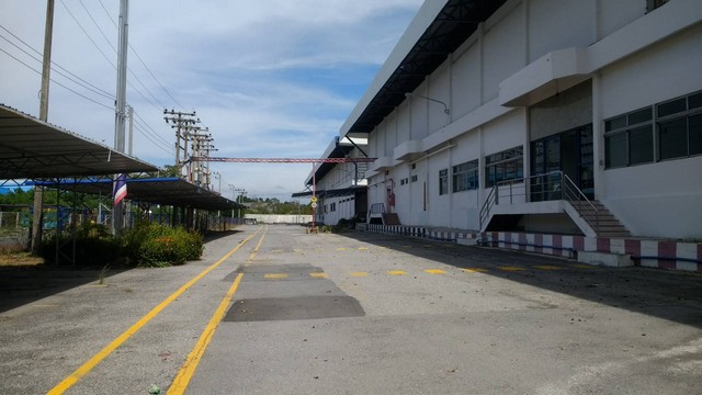  โรงงาน คลังสินค้าบางนา ให้เช่า 10000 -22200 ตรม  รูปที่ 6