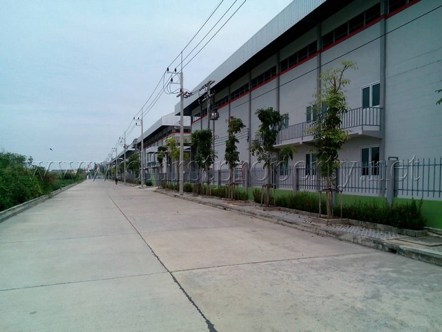 Warehouse for rent Lamlukka  850 sqm. images 6