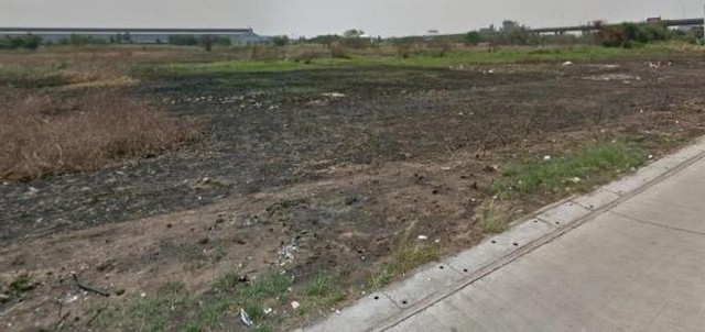   Land for sale Bangna-Trad km.21, purple. images 1