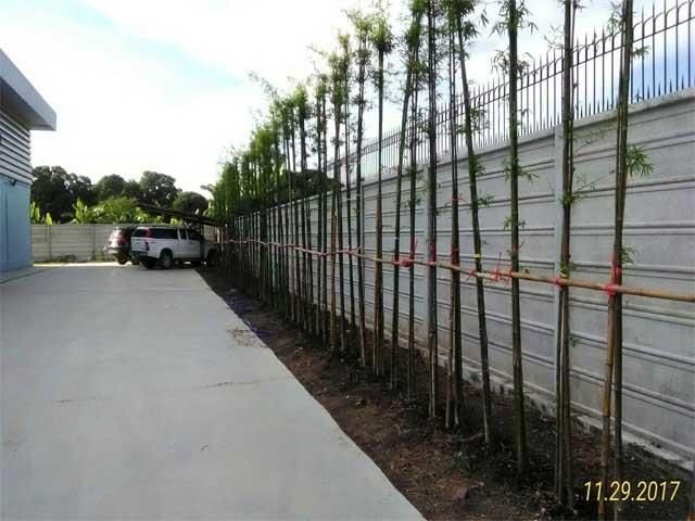     Selling warehouse a purple area 1 rai Rangsit Klang 6. images 2