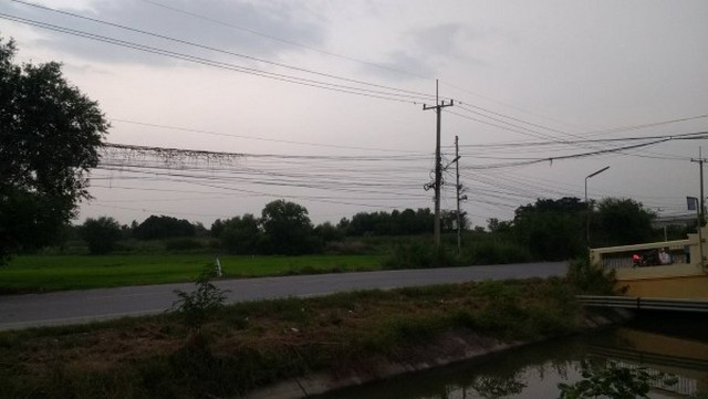  ขายที่ดินเปล่าเทพกุญชร 20ไร่ อ.คลองหลวง จ.ปทุมธานี  รูปที่ 1
