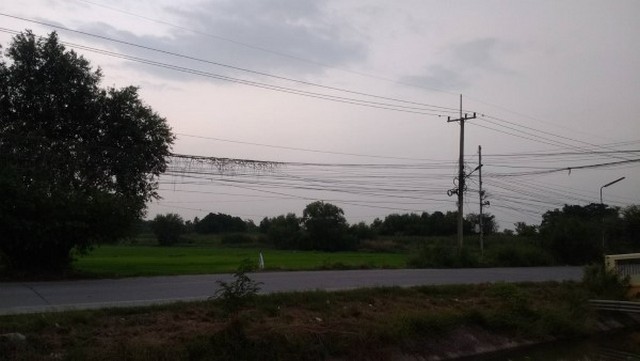  ขายที่ดินเปล่าเทพกุญชร 20ไร่ อ.คลองหลวง จ.ปทุมธานี  รูปที่ 3