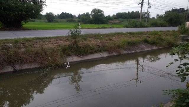  ขายที่ดินเปล่าเทพกุญชร 20ไร่ อ.คลองหลวง จ.ปทุมธานี  รูปที่ 6