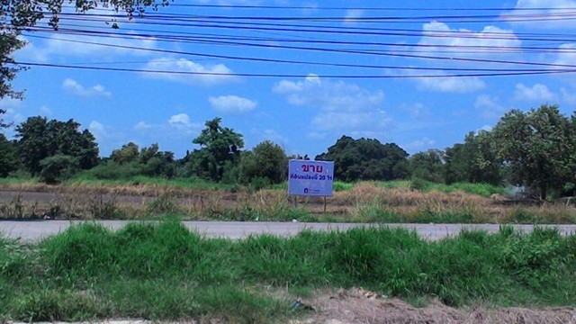  ขายที่ดินติดถ.เทพกุญชร 20ไร่ อ.คลองหลวง จ.ปทุมธานี3