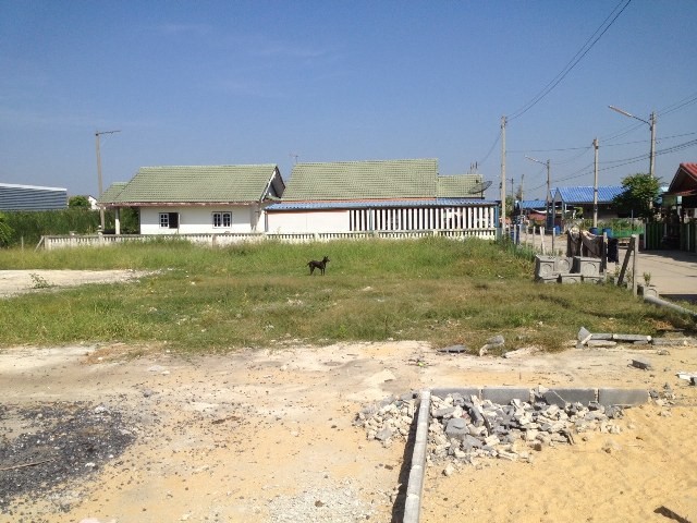  Land  for sale 300 sq.m. Pratunam Indra, Wang Noi, Ayutthaya. images 4