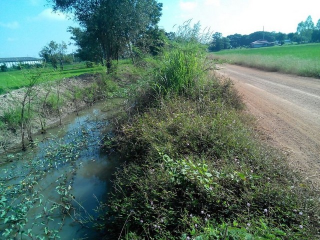   Land for sale 6 rai near the Chang Beer factory, Kamphaengphet. images 0