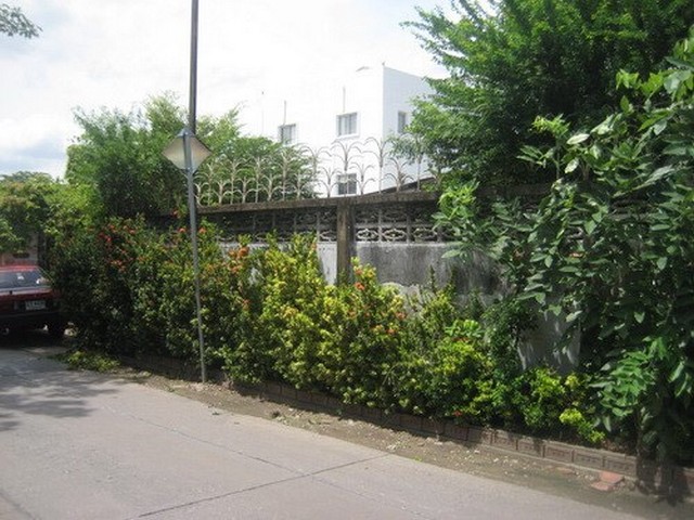บ้านให้เช่า ย่านสุขุมวิท  เหมาะที่อยู่อาศัย และเช่าสำนักงานออฟฟิต รูปที่ 0