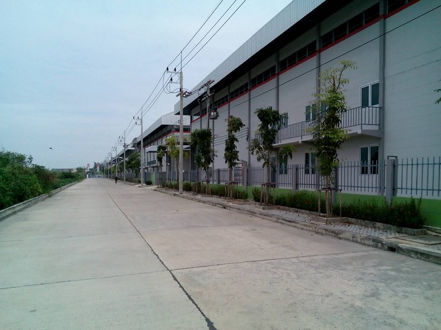 โรงงานให้เช่า ลำลูกกา รูปที่ 0